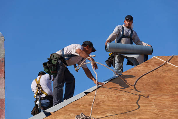 Roofing Contractor